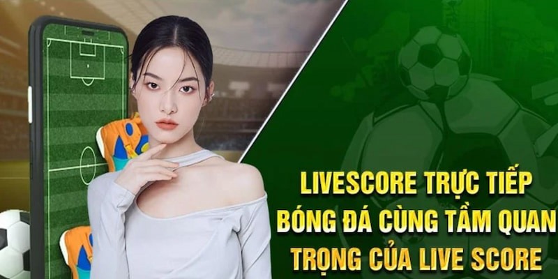 Livescore là công cụ lý tưởng để theo dõi trực tiếp thể thao